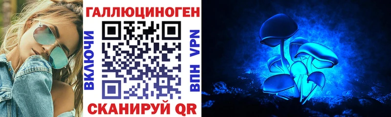 kraken вход  Нязепетровск  Галлюциногенные грибы Psilocybine cubensis 